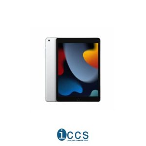 Ipad 10 256 Silver/Blue