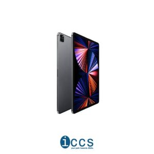 Ipad pro 11 256 gb M4  Silver (CALL FOR PRICE)