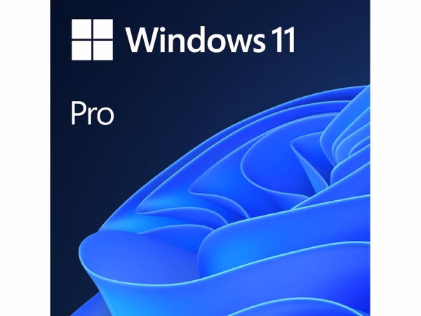 Windows 11 Pro 64bit License Perpetual OEM (ESD)